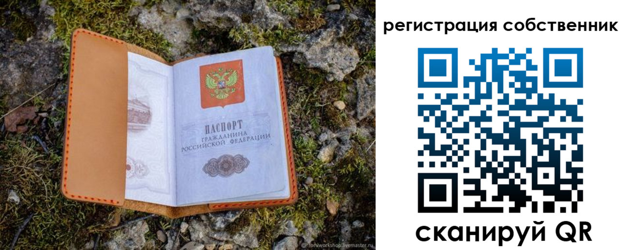 прописка поиск в Кирсанове